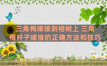 三角梅嫁接到榕树上 三角梅杆子嫁接的正确方法和技巧